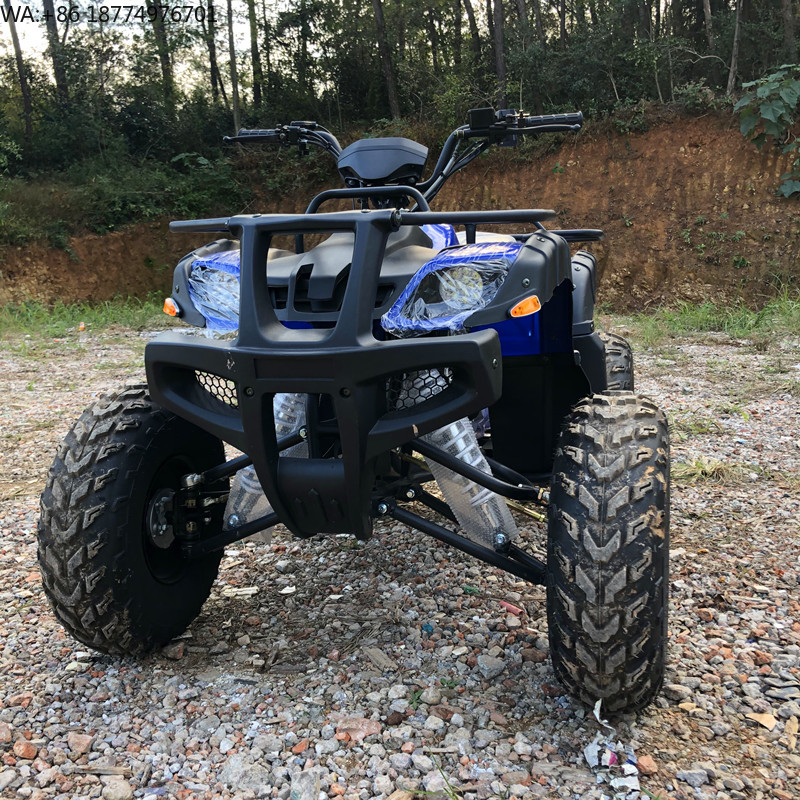 Electric 4 Seater 4WD 4-Stroke - огляд і ціна Camping Quad